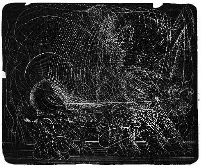 1974 - Illustration Nashorn - Lithographie - 49x49,5cm